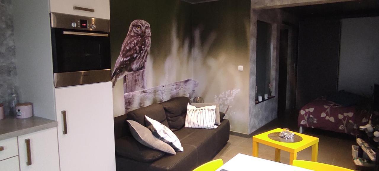 Studio Gite Eul Cat Huant Dergneau エクステリア 写真